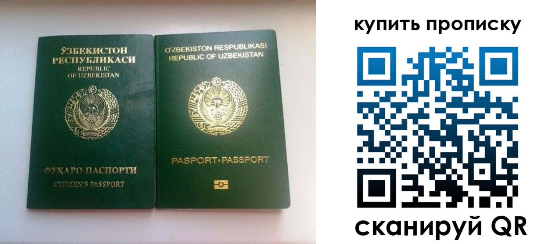 прописка в квартире в Кусе